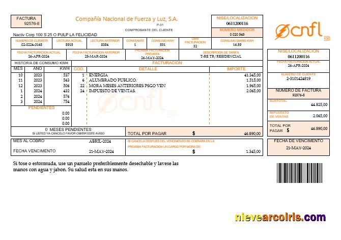 Costa Rica Compania Nacional de Fuerza y Luz, S A CNFL business utility bill